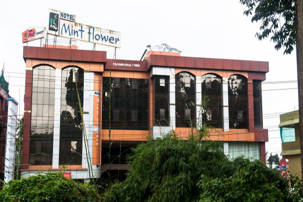 Hotel Mint Flower -JODHPUR 